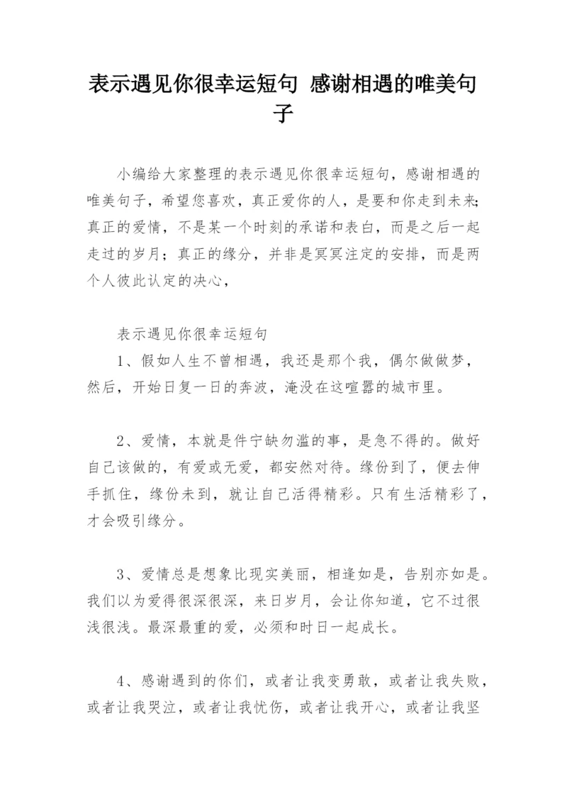 表示遇见你很幸运短句 感谢相遇的唯美句子.docx