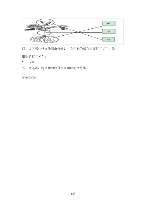 小学一年级科学上册期中考试题及答案学生专用