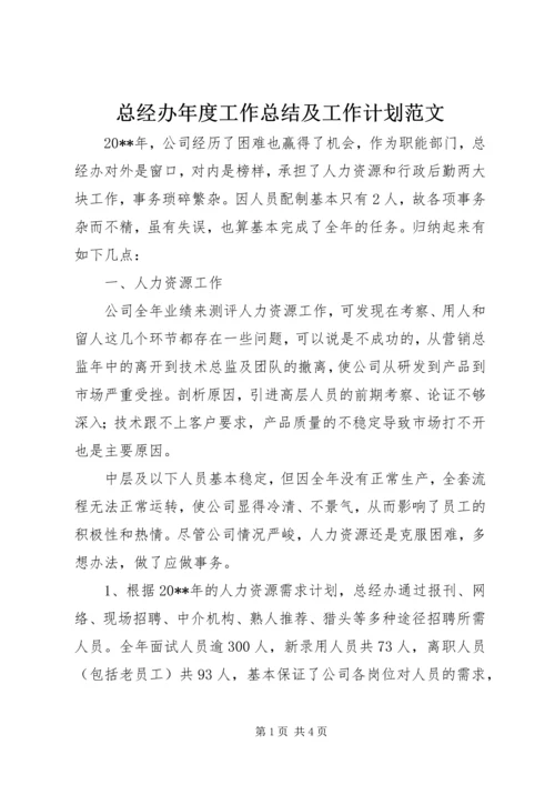 总经办年度工作总结及工作计划范文.docx