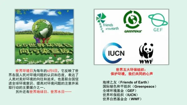 10.《我们所了解的环境污染》（第二课时）  课件