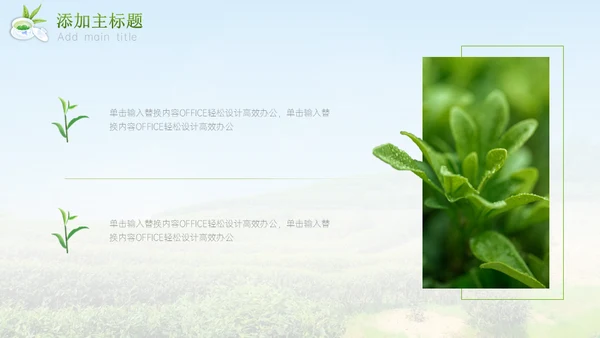 绿意新茶上市茶文化介绍通用PPT模板