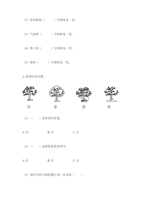 教科版科学二年级上册期末测试卷精品（网校专用）.docx