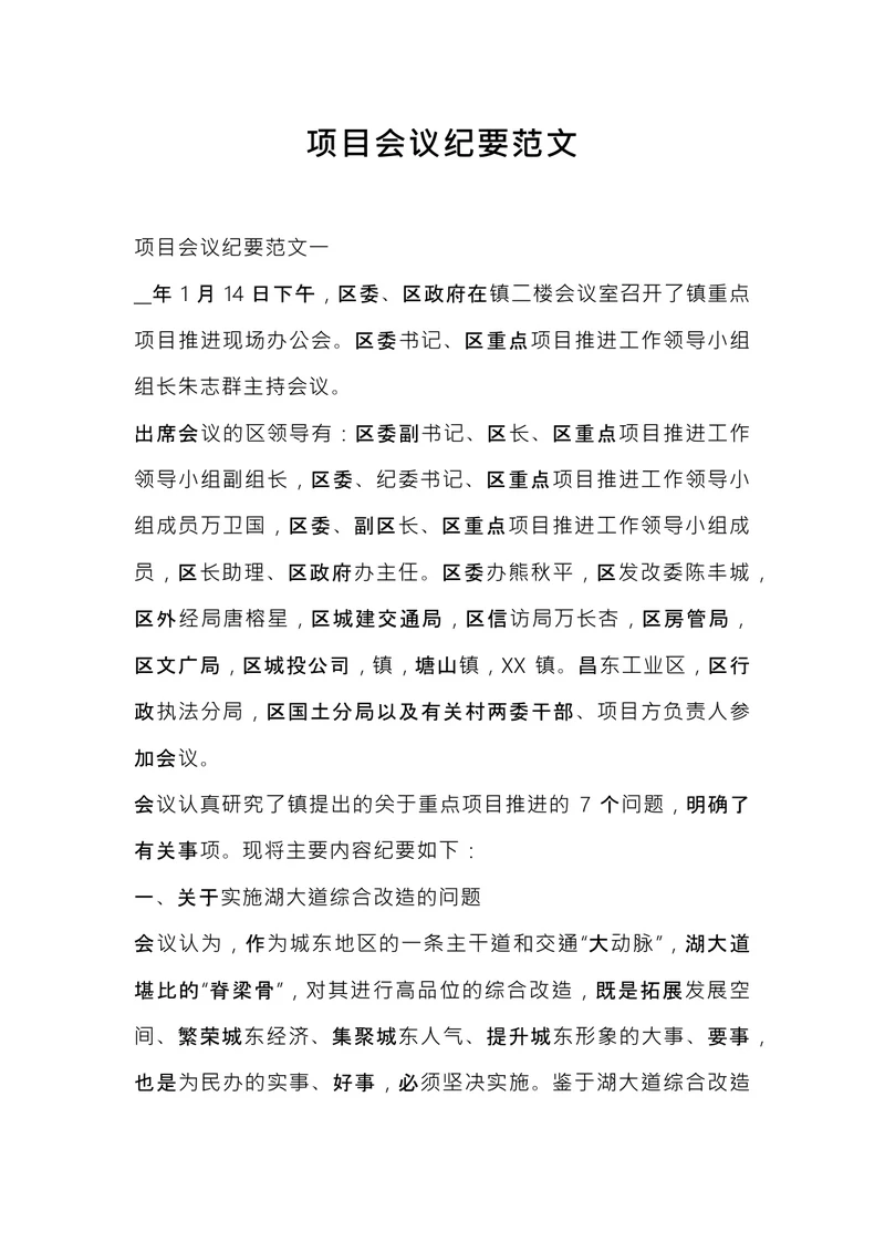 项目会议纪要范文