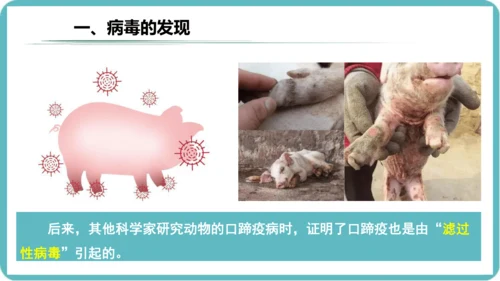 人教版生物七年级上册2.3.4《病毒》课件(共19张PPT)+视频素材