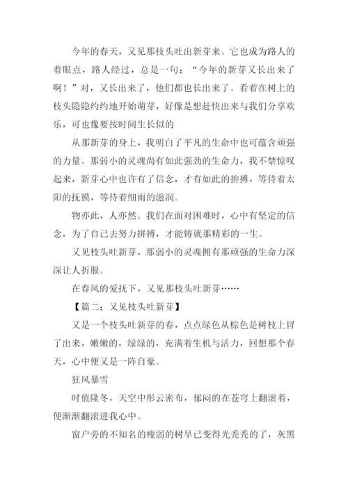 又见枝头吐新芽作文800字.docx