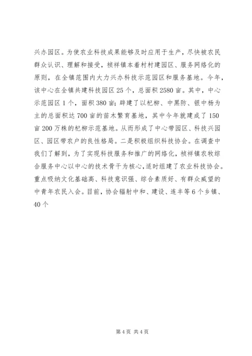 关于×镇农牧综合服务中心建设有关情况的调查 (10).docx