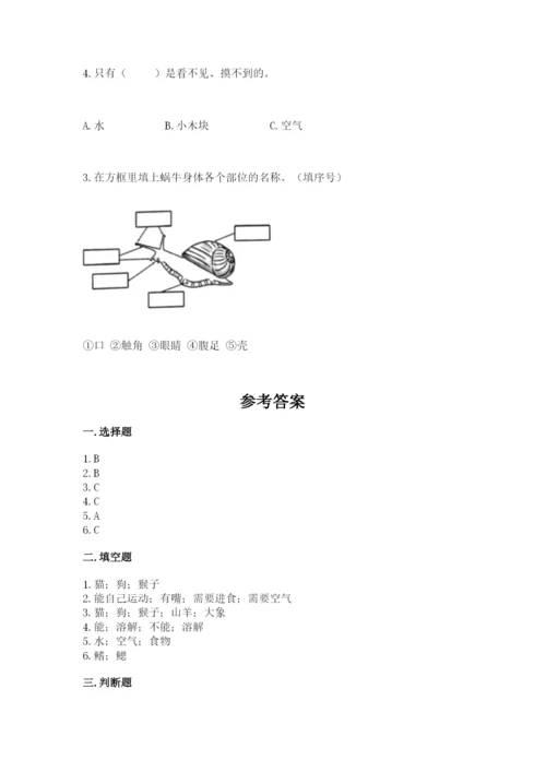 教科版小学科学一年级下册期末测试卷含完整答案【网校专用】.docx