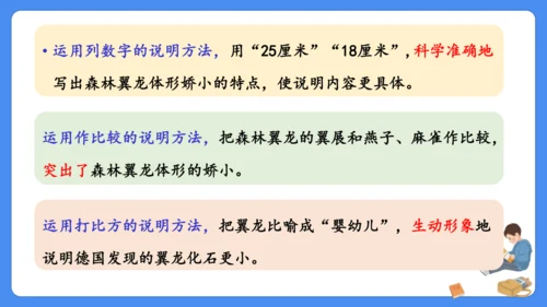 期末专项复习 说明文阅读复习（课件）-2024-2025学年语文五年级上册（统编版）