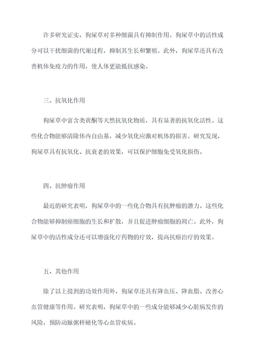 狗屎草的功效作用