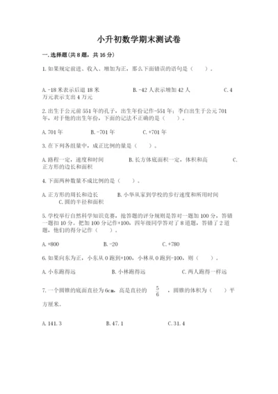 小升初数学期末测试卷必考.docx