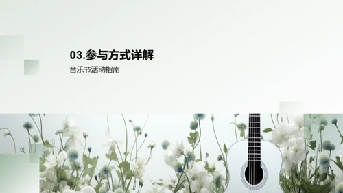 音乐节的探索与体验