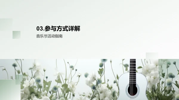 音乐节的探索与体验