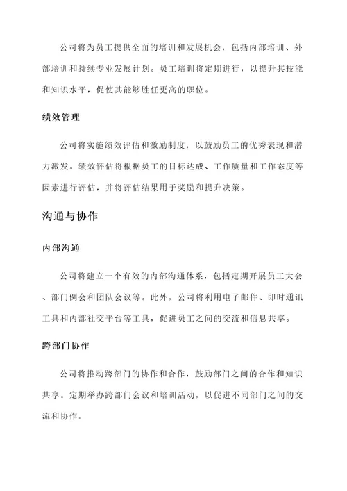 总经理的公司管理方案