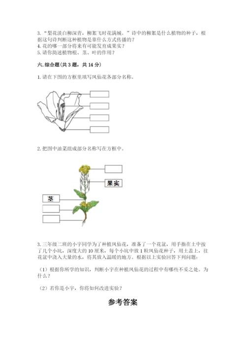 教科版四年级下册科学第一单元《植物的生长变化》测试卷及答案【全优】.docx