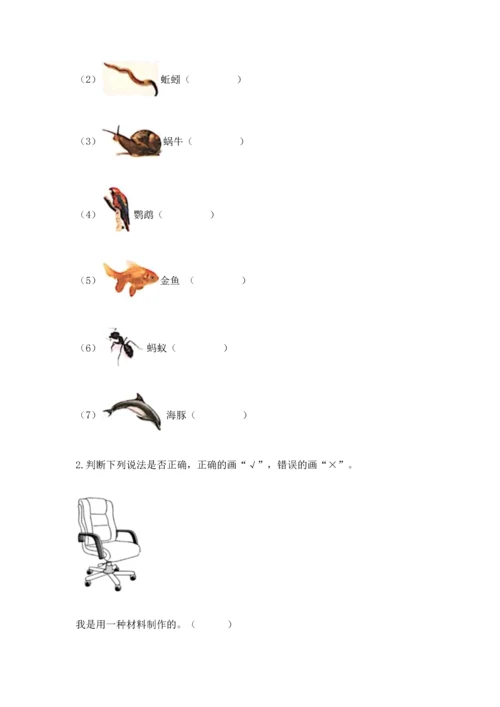 教科版科学二年级上册《期末测试卷》及下载答案.docx