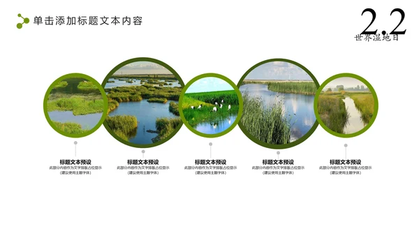 清新简约世界湿地森林日绿色环保PPT模板