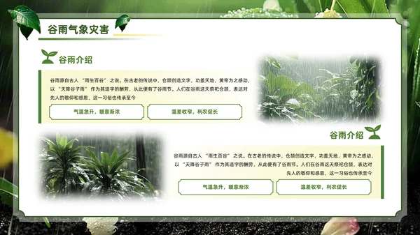 绿色系传统文化二十四节气谷雨主题PPT模板