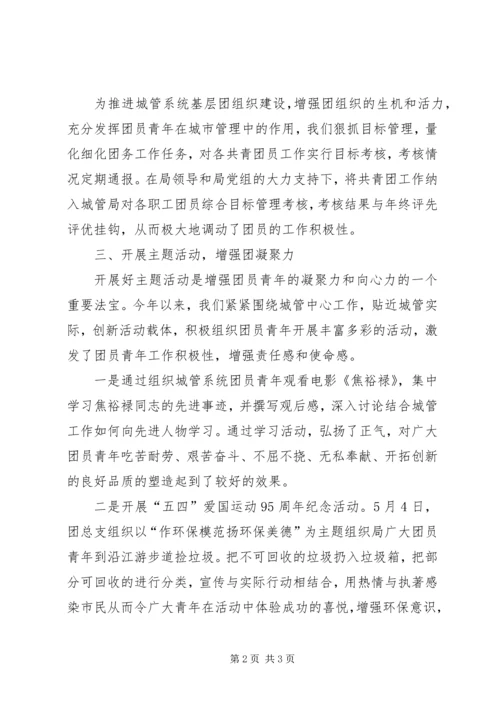 城管局团总支工作汇报.docx