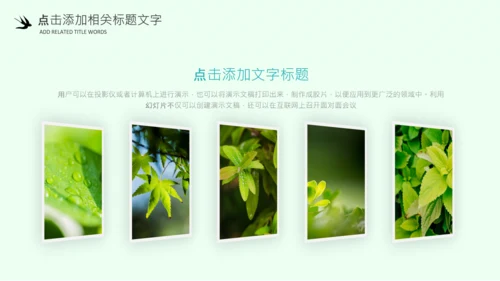 清明节气清新绿色清明节踏青PPT模板
