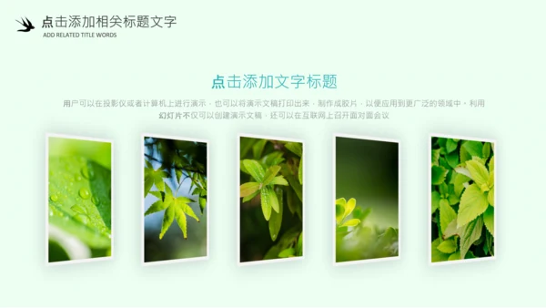 清明节气清新绿色清明节踏青PPT模板