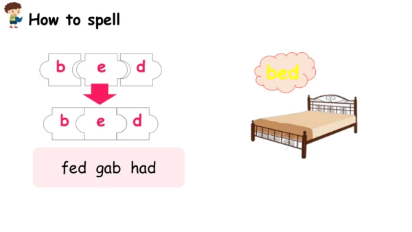 Unit 2   Different families课件（91张PPT)