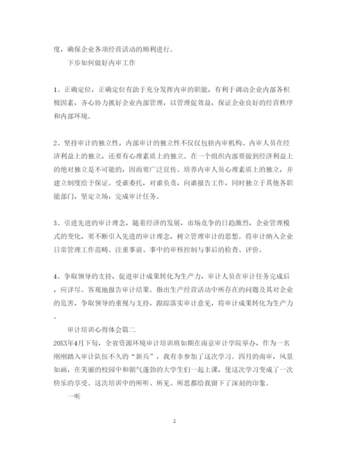 精编审计培训心得体会怎么写_审计培训总结优秀范文.docx