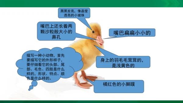 部编版二年级语文看图写话写动物课件
