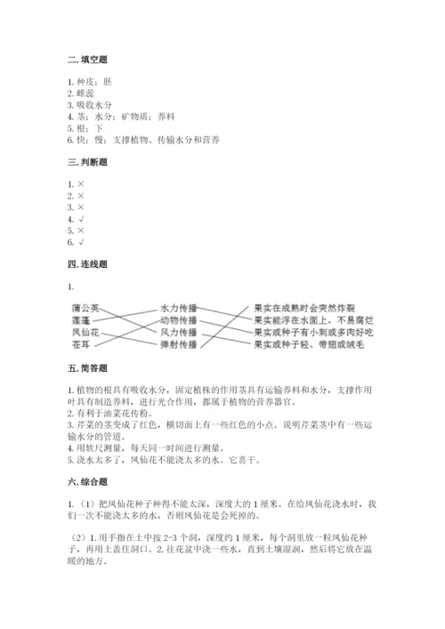 教科版科学四年级下册第一单元《植物的生长变化》测试卷（培优）.docx