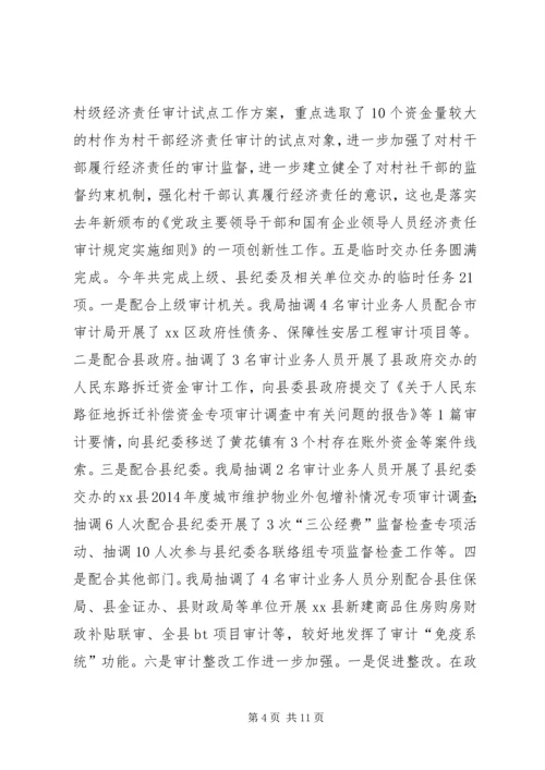 乡镇审计局年度工作总结.docx