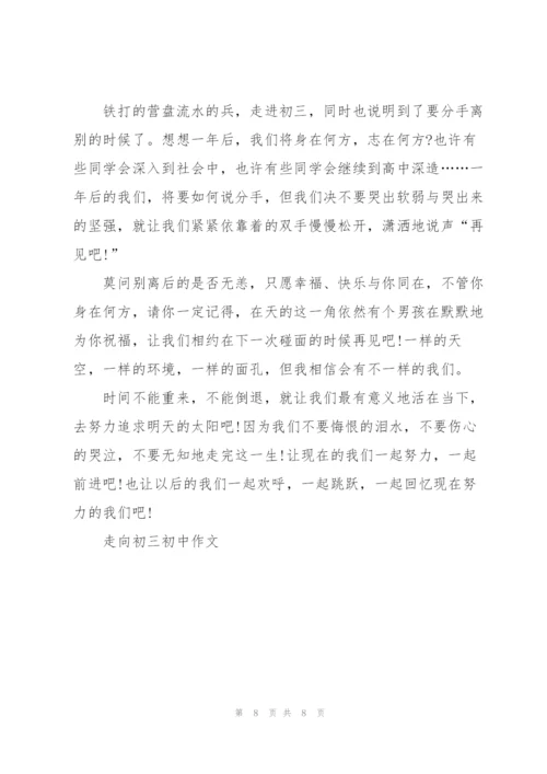 走向初三初中作文5篇.docx