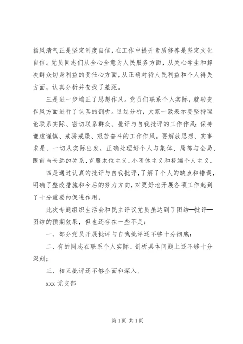 不忘初心牢记使命主题教育专题组织生活会和民主评议党员工作总结.docx