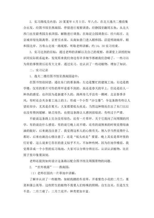 有关工作实习报告模板锦集九篇.docx