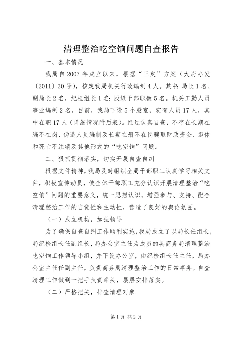 清理整治吃空饷问题自查报告.docx