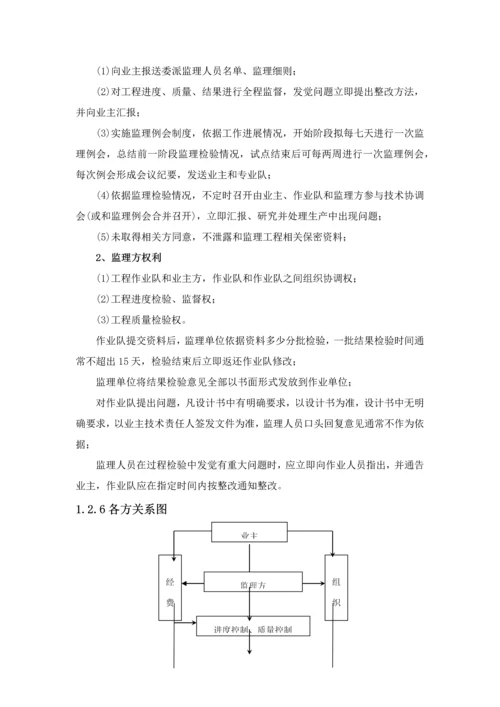 测量监理工作专业方案.docx