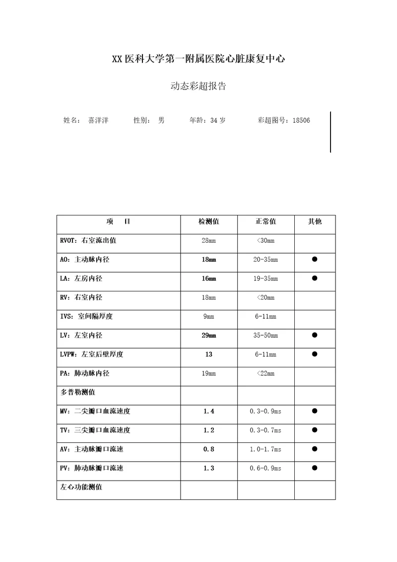 心脏彩超检测报告共2页