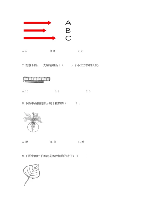 教科版一年级上册科学期末测试卷附参考答案【培优b卷】.docx
