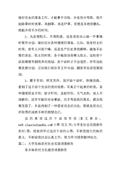 大学生社会实践报告农村