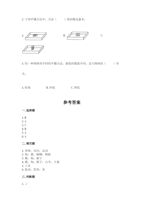 教科版一年级下册科学期末测试卷带答案.docx