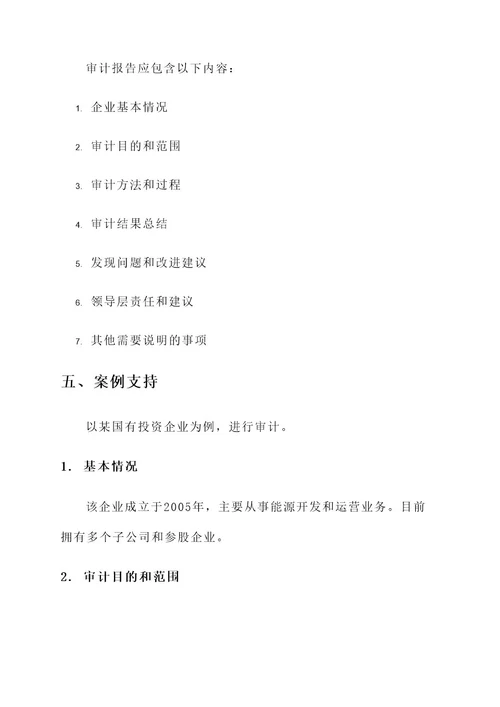 国有投资企业审计方案