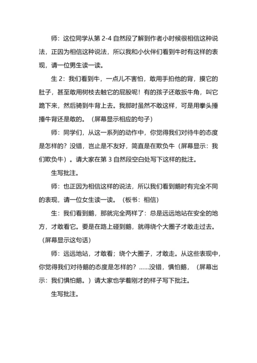 四年级语文上册第六单元备课整理.docx