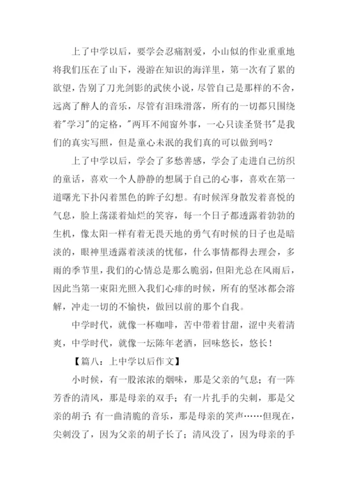 上中学以后作文.docx