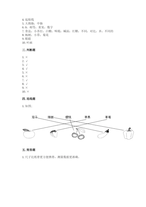 教科版一年级上册科学期末测试卷精品含答案.docx