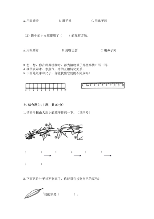 教科版科学一年级上册期末测试卷精品（网校专用）.docx