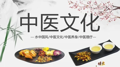 中国风古香古色中药中医文化中医养生ppt模板