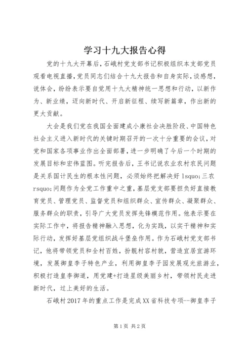 学习十九大报告心得 (2).docx