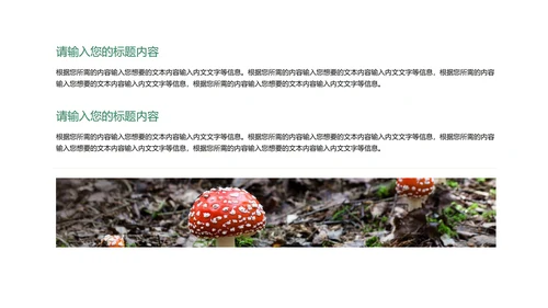 绿色插画风教育教学PPT模板
