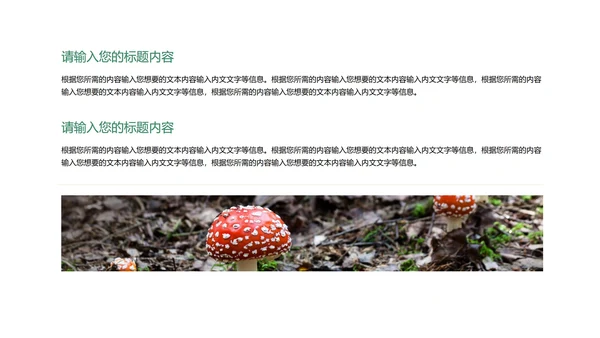绿色插画风教育教学PPT模板