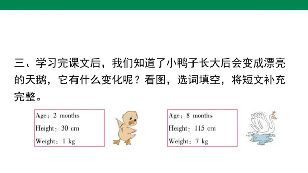 Unit 1　How tall are you？专项练习课件(共64张PPT)