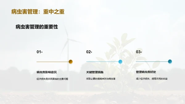 创新林木育苗方案