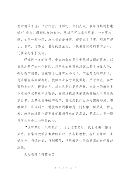 见习教师心得体会5篇.docx